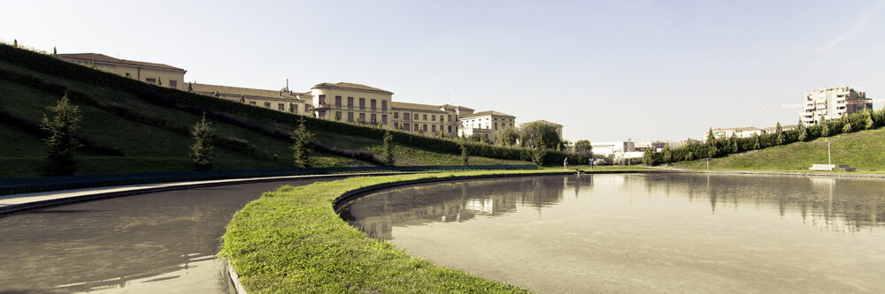 _MG_2075 _MG_2075